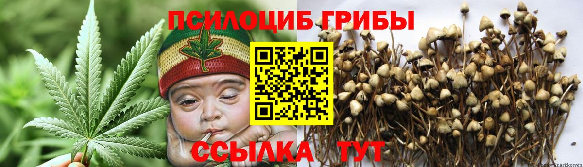 Ишим  Галлюциногенные грибы MAGIC MUSHROOMS  Вход с VPN 