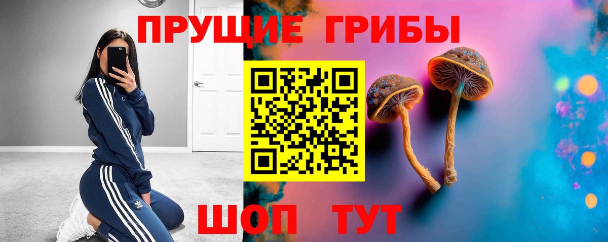 Галлюциногенные грибы MAGIC MUSHROOMS Ишим